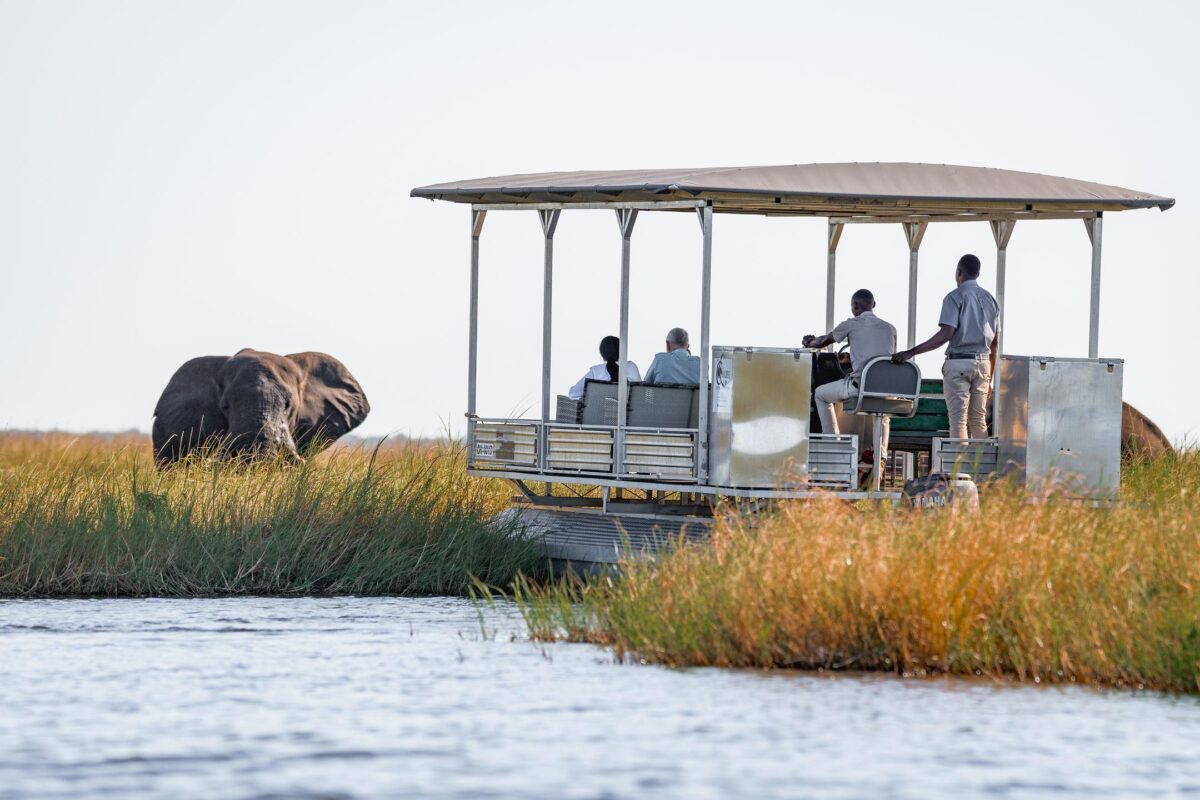 Chobe Day trip from Victoria Falls
