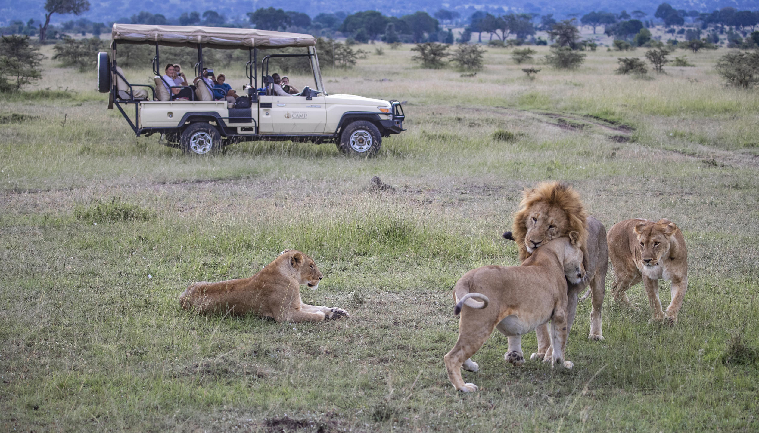 2-Day Chobe Adventure Safari from Vic Falls