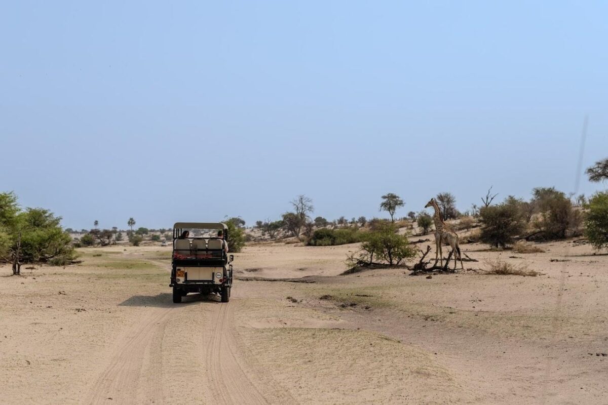 Chobe to Okavango Delta expedition