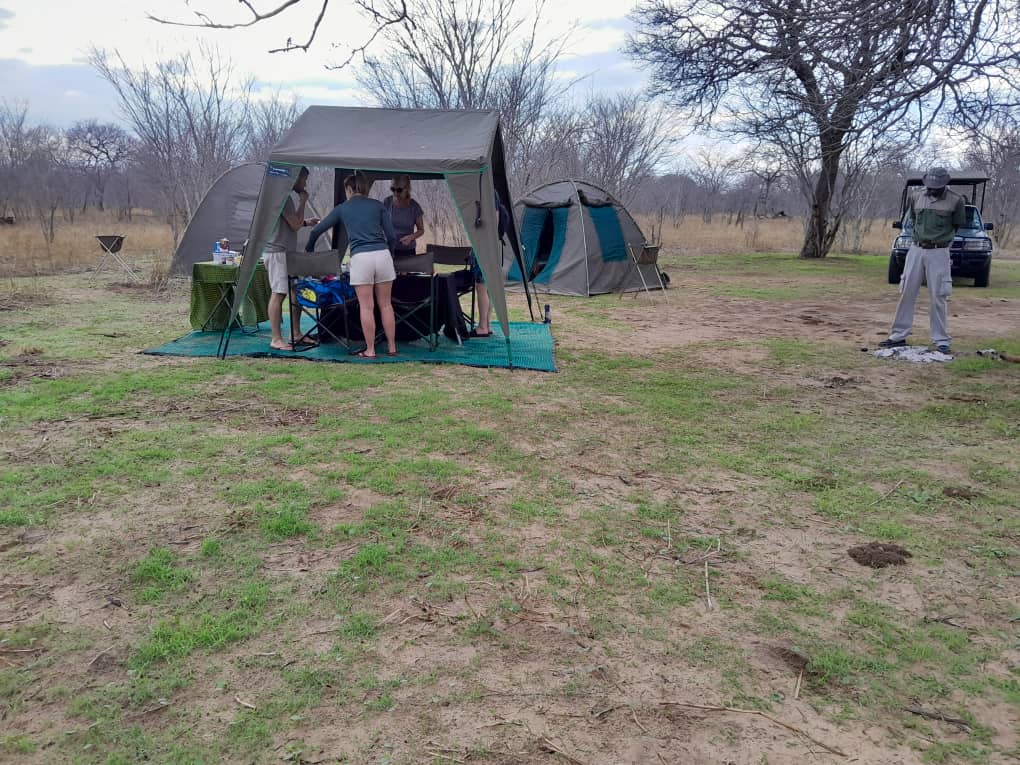 a tent pitched during camping in Chobe and savuti safari