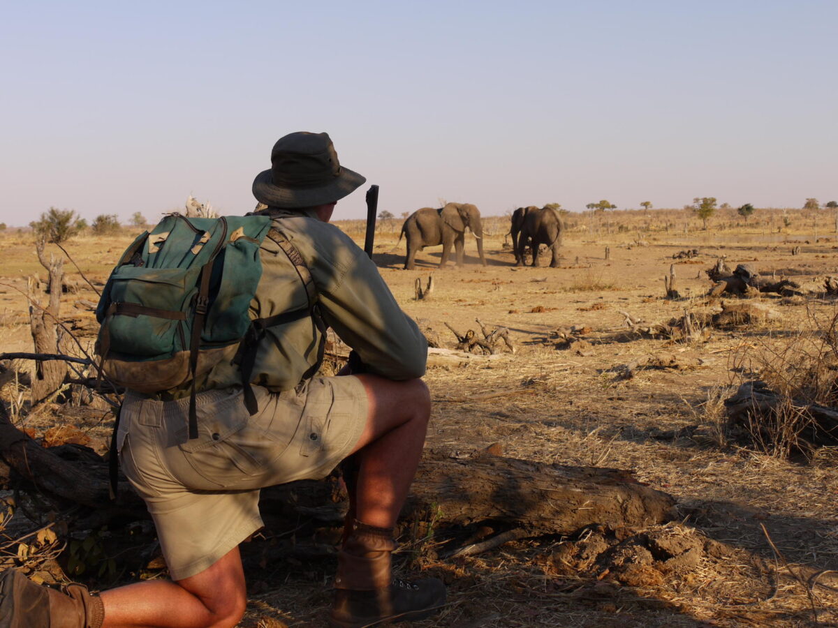 Hwange – Victoria Falls Tour Package