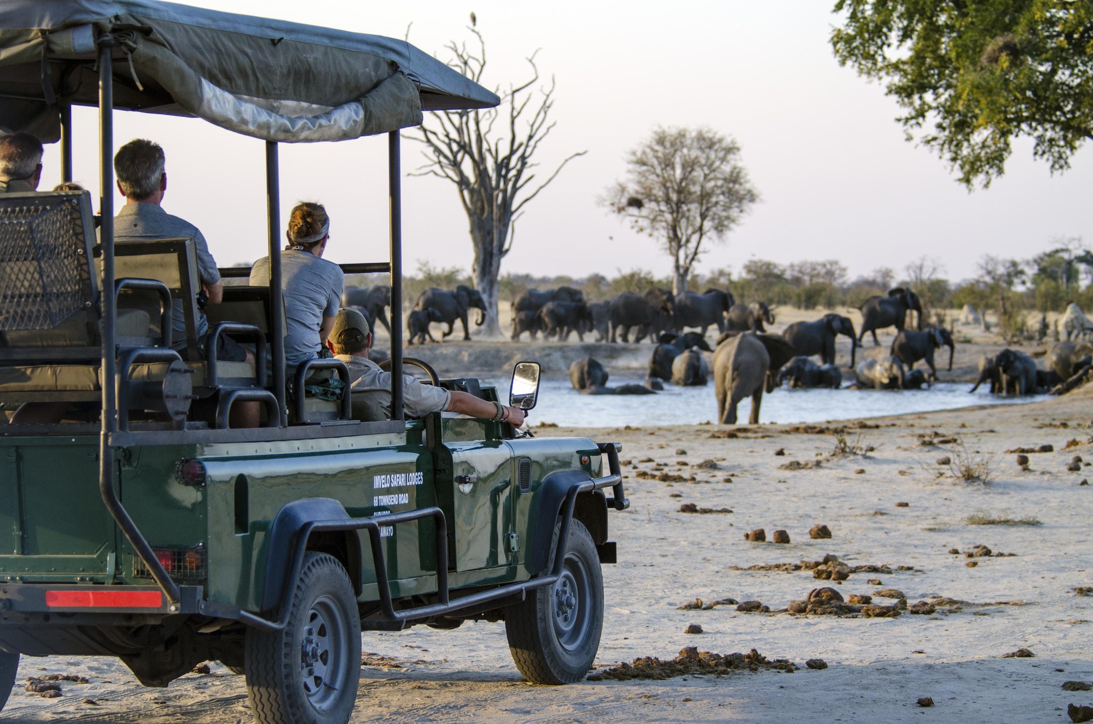 Hwange Day Trip from Victoria Falls