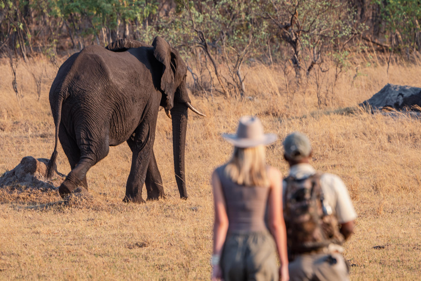 Walking Safari in Hwange National Park